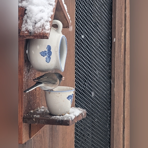 Rustic Wooden Handmade Bird Feeder Crazy Cat Lady - Picture 11 of 16